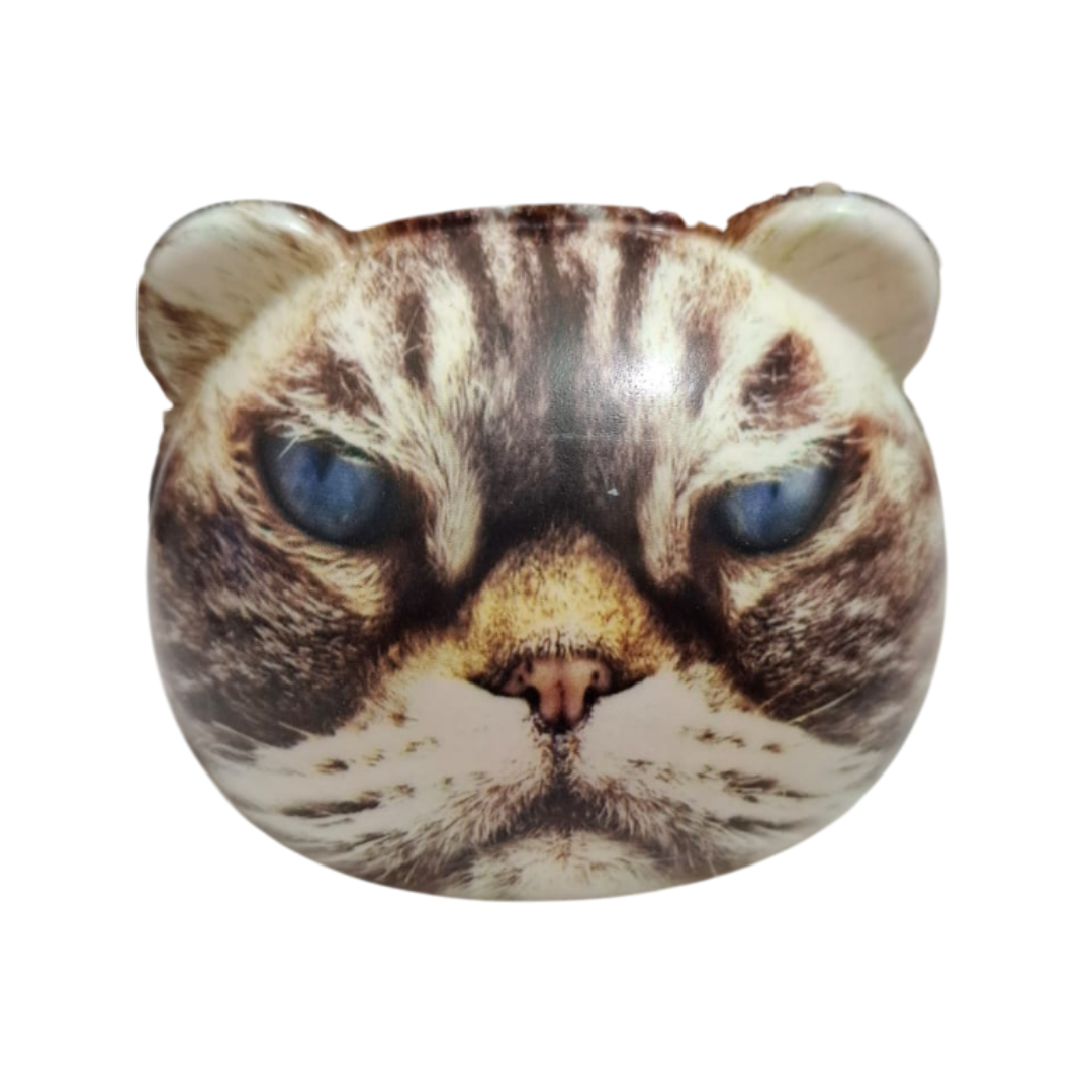 SQUISHY DE GATOS