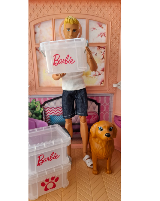 Cajitas organizadoras